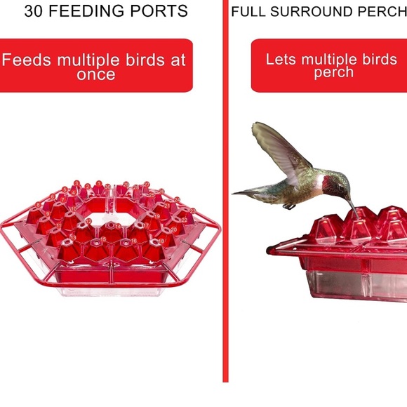 Hummingbird Feeder - Picture 5 of 8